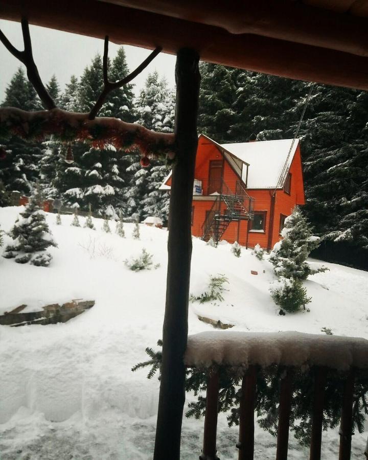 Sadyba Drymba Skhidnytsia المظهر الخارجي الصورة
