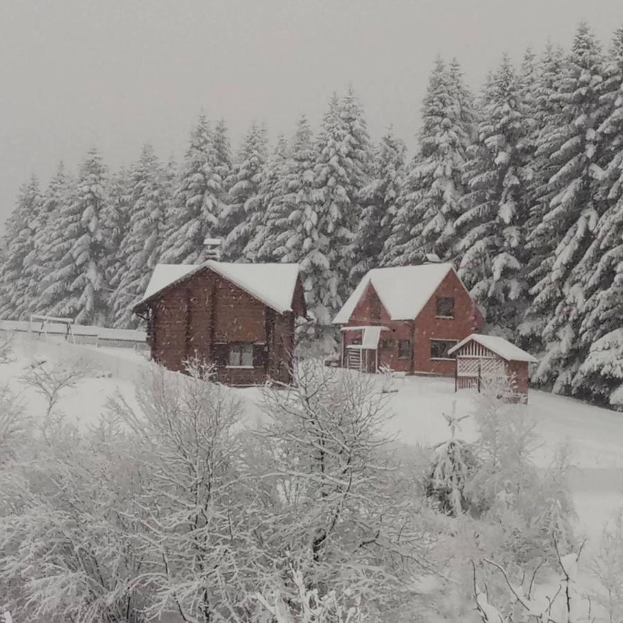 Sadyba Drymba Skhidnytsia المظهر الخارجي الصورة