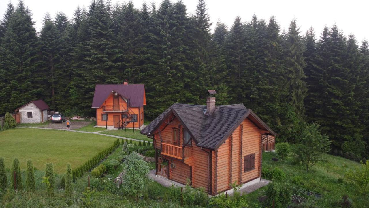 Sadyba Drymba Skhidnytsia المظهر الخارجي الصورة