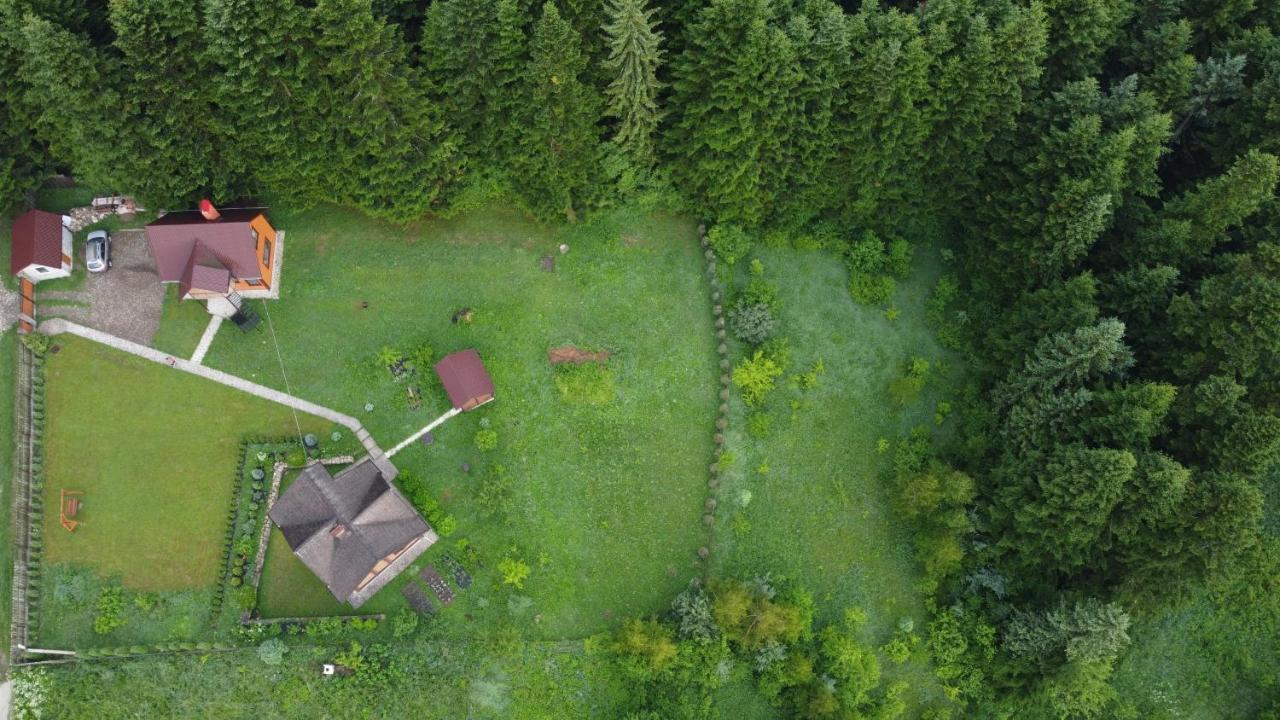 Sadyba Drymba Skhidnytsia المظهر الخارجي الصورة