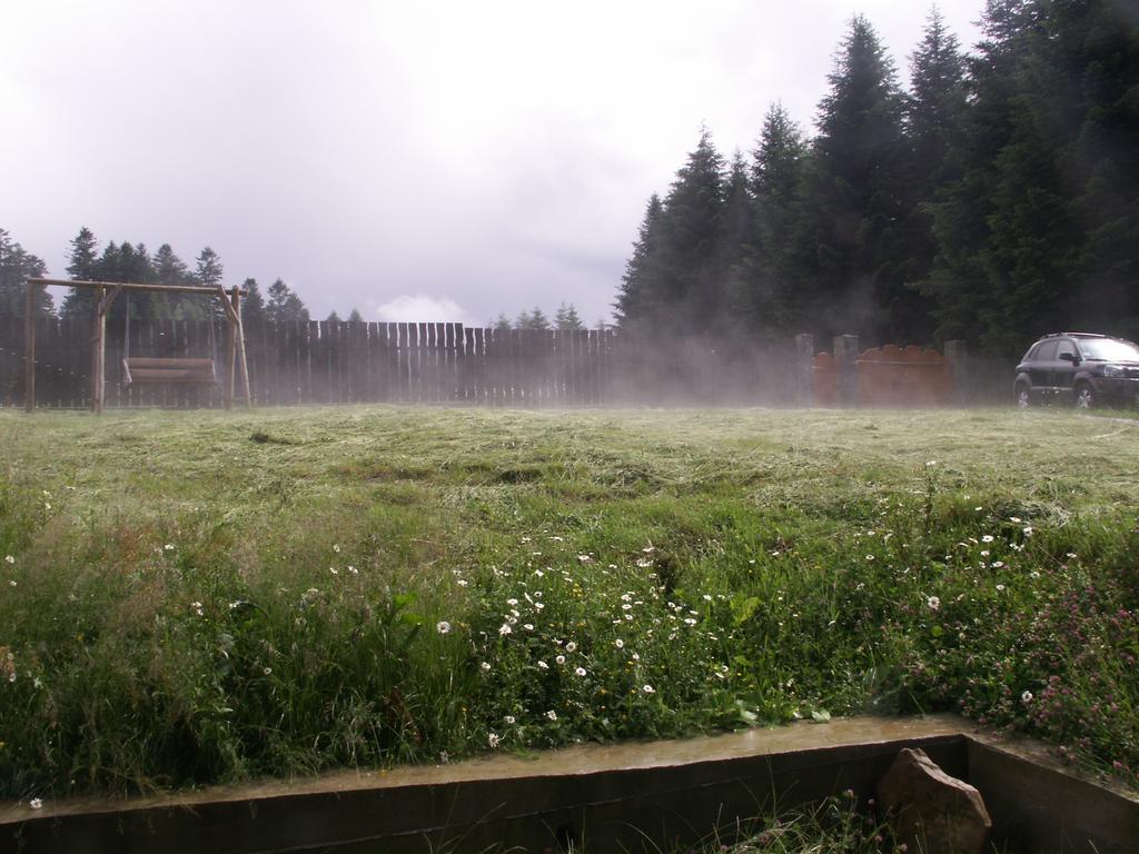Sadyba Drymba Skhidnytsia المظهر الخارجي الصورة