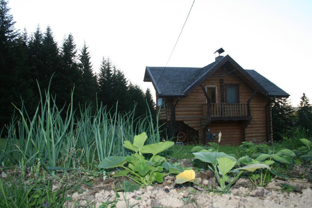 Sadyba Drymba Skhidnytsia المظهر الخارجي الصورة