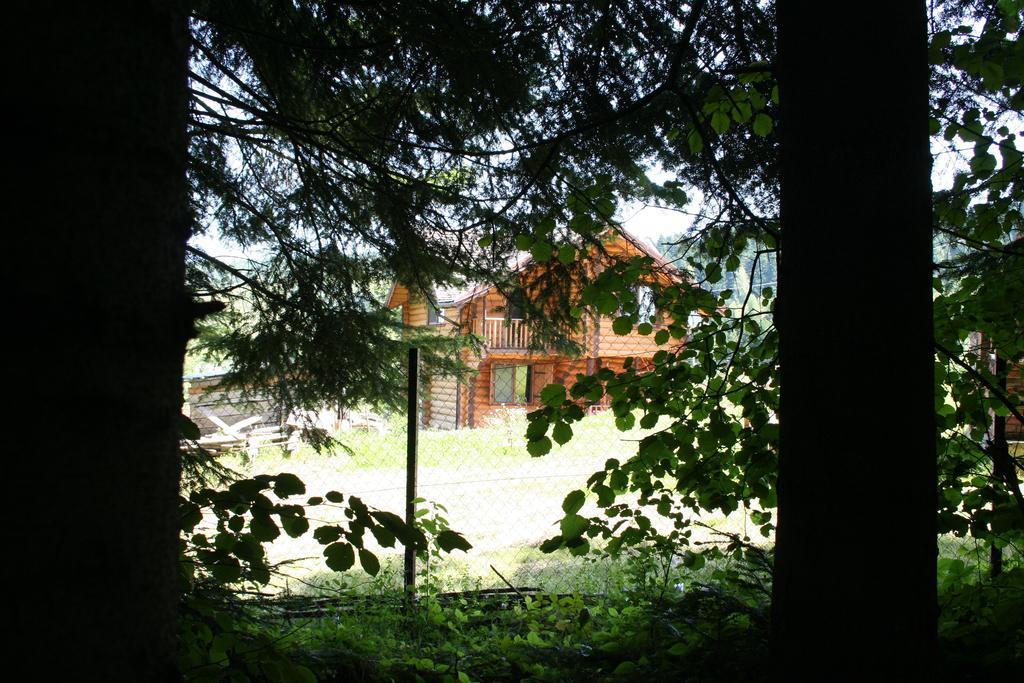 Sadyba Drymba Skhidnytsia المظهر الخارجي الصورة