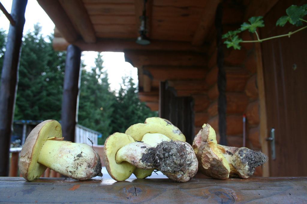 Sadyba Drymba Skhidnytsia المظهر الخارجي الصورة